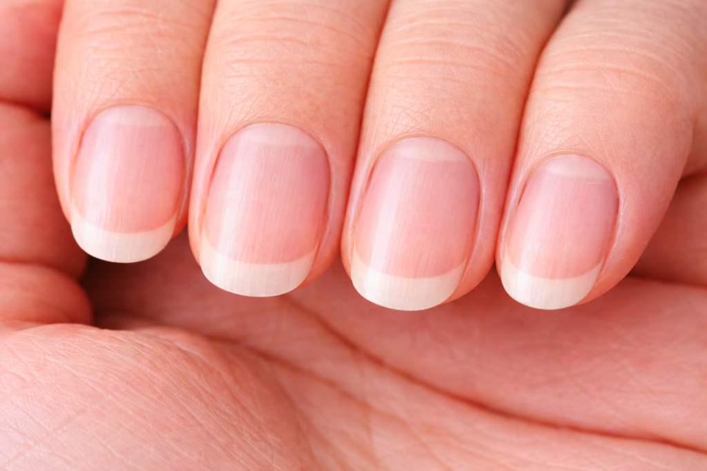 理想の爪のイメージ